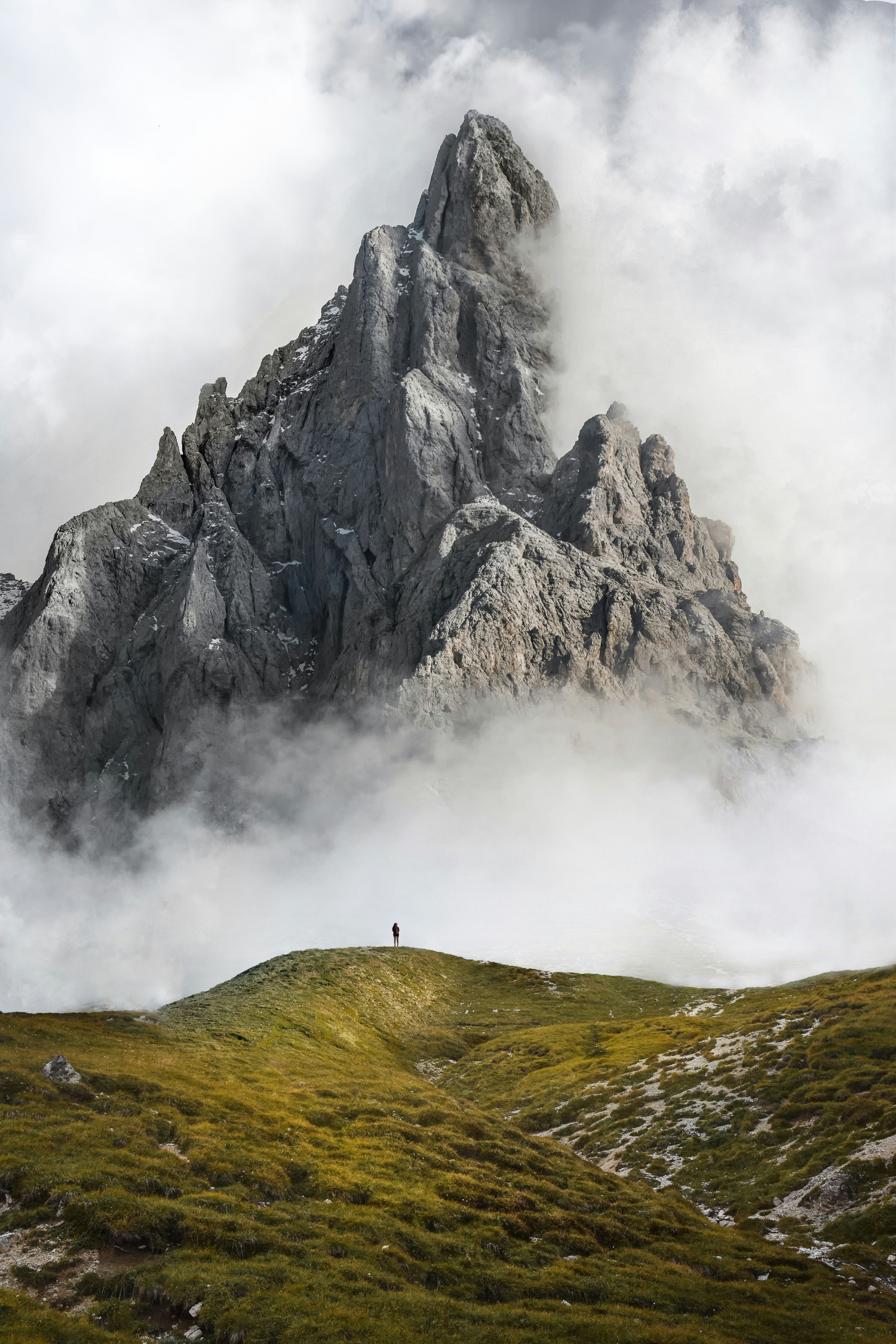Alpine Living